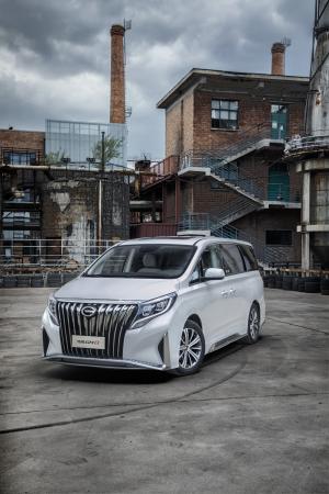 Trumpchi GM8 Master Edition 2020 года 